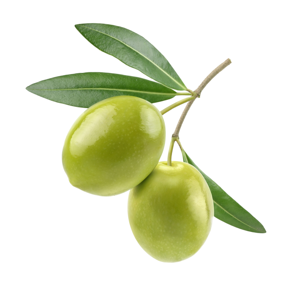 Des olives de table produits en occitanie-La bérengère